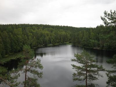 2007夏フィンランド旅行おぼえがき7 Let's go Hiking! Nuuksio National Park