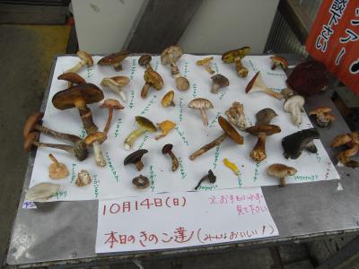 2007年　富士山須走口五合目