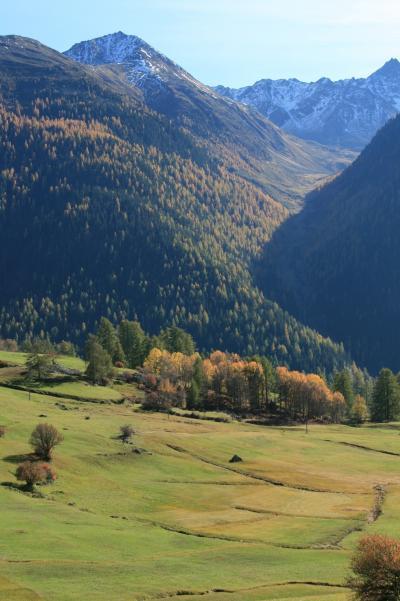 紅葉の中のハイキング/Guarda, Switzerland