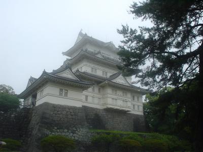 第1弾 城遠足～雨の小田原城～（日帰り遠足）