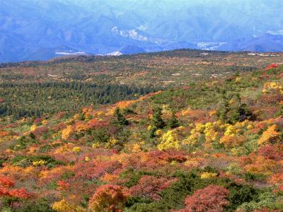 バス・ツアーで蔵王の紅葉を愛でる