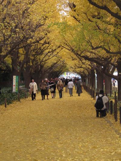 神宮外苑のイチョウ並木/東京都