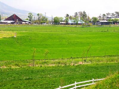 岡山、鳥取　皆生温泉１泊２日　その１