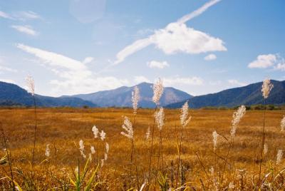 キラッキラの初尾瀬
