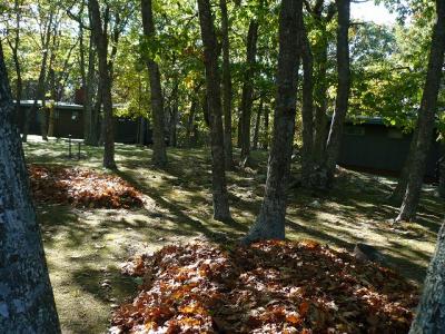 シェナンドウ国立公園探検記（紅葉編）