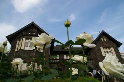 秋薔薇に囲まれた美しい洋館での青空音楽会～「旧古河庭園」～