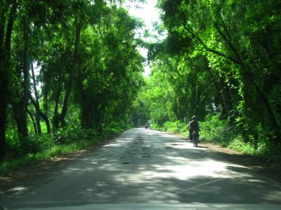 ミャンマー途中下車～中北部 4 マンダレー～ピンウールィン～ティーボー