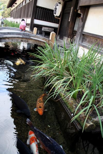 ひとり旅 [155] 山口島根ぶらり旅?「津和野?・街並み」島根県津和野町