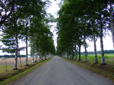 大好き!十勝?連発(その?)~十勝牧場編~