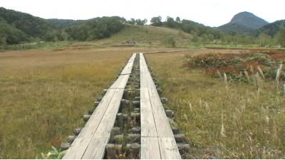 【動画あり】　初秋　志賀高原　池と湿原散策