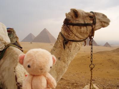 意外に涼しい？雨のカイロ