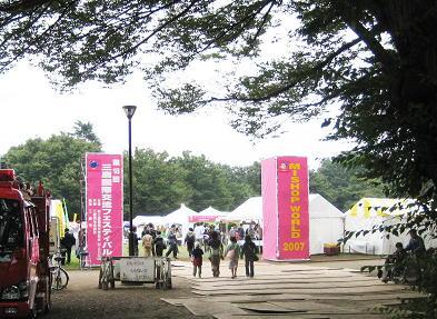 Japan  つかのまの日本を楽しんで　三鷹国際交流フェスティバルに参加しました
