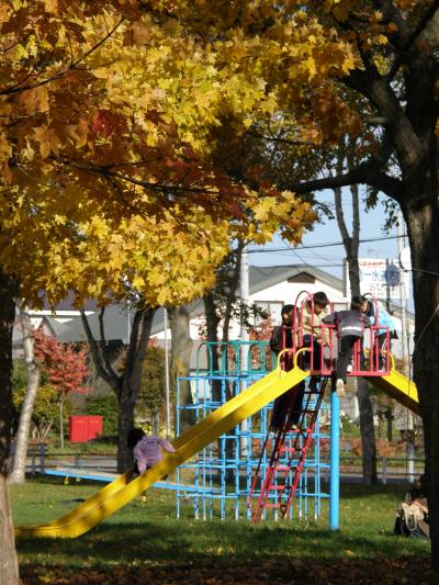 10月21日　釧路　ご近所の紅葉に黄葉は真っ盛り！