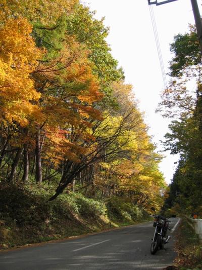秋の景色～戸隠～