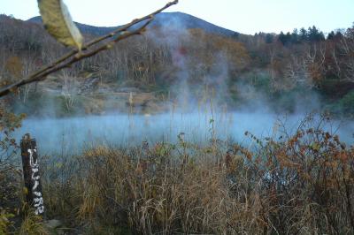 出掛けてきました。紅葉の地に、酸ヶ湯温泉、八甲田　