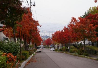 ゆるり旅・函館～大沼 編