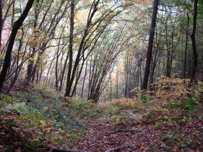 だっしゅ村は秋本番・・・収穫に大感激