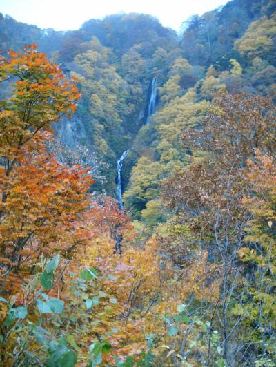 上信越紅葉紀行（?松川渓谷高原編）