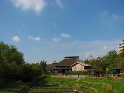 赤羽自然観察公園ー?