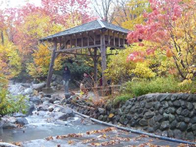 十和田湖～八甲田山紅葉ドライブ（奥入瀬編）