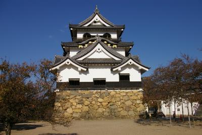 彦根城、城まつり見物、ひこにゃんとの再会 ?