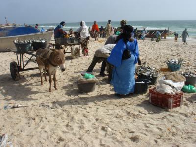 Discovering Mauritania