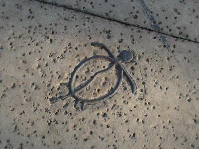 ラブリー in Hawaii★ ~オアフ島ホノルル~