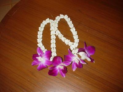 またまたまた タイ★プーケット