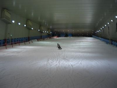 韓国スキートレーニング