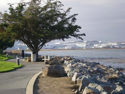 米国西海岸への出張