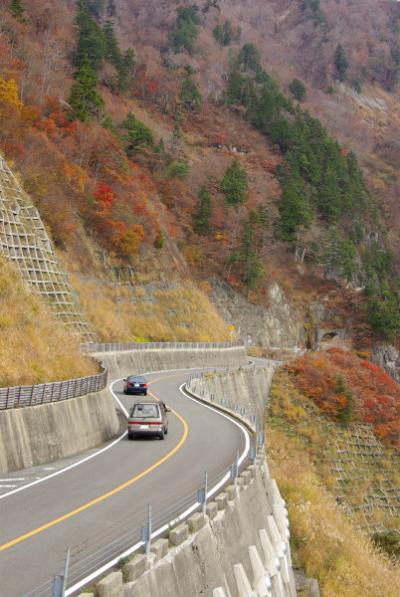 「白山スーパー林道の紅葉」