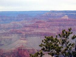 グランドキャニオン ショートトリップ/12月27日