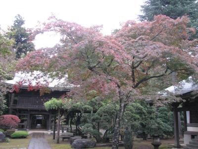 秋の色を求めての旅・・・多福寺を訪問　