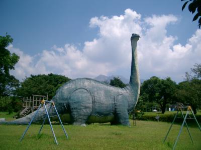 ライオンベラー再び九州へ飛ぶ　07夏　［写真版］