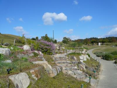 平日のまんのう公園