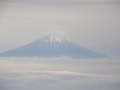 綺麗な富士山