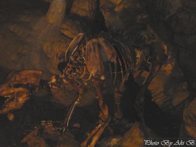 Baerenhoehle ベルンホール