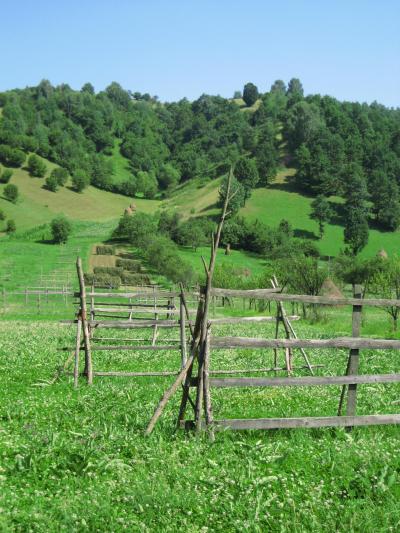 2007年ルーマニア旅行第11日目(5)マラムレシュ地方：イザ川渓谷の田園風景
