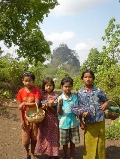 ミャンマー　(ポッパ山編)　敬虔な仏教徒の住む国?