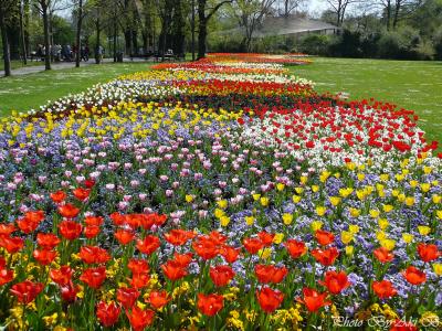 Wilhelma Zoo ヴィルヘルマ動物園