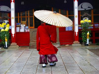 雨。。大前神社