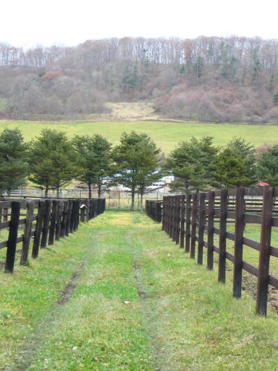 ちょっとご挨拶に、北海道日高地方へ
