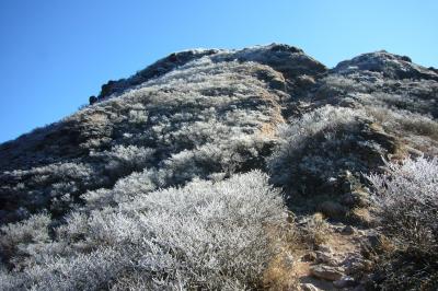 むひょー！由布岳登山