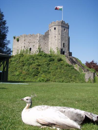 なんとなくカーディフ　Cardiff