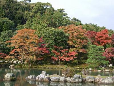 *　京都府　【嵐山・紅葉始め】　２００７　*　