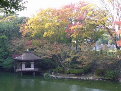 紅葉が始まりだした、和歌山城