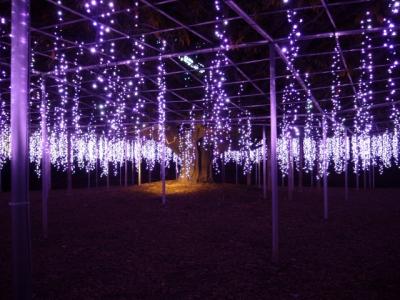 あしかがフラワーパーク『光の花の庭』