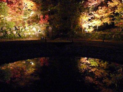 二人占めしてごめんなさぃ★☆立田公園　紅葉ライトアップ