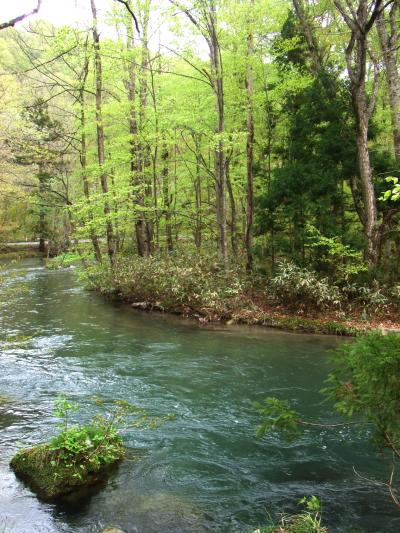 東北温泉旅行(その1) 奥入瀬渓流・十和田ホテルへお泊り