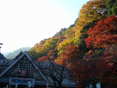 整理券が必要な高尾山の紅葉見物